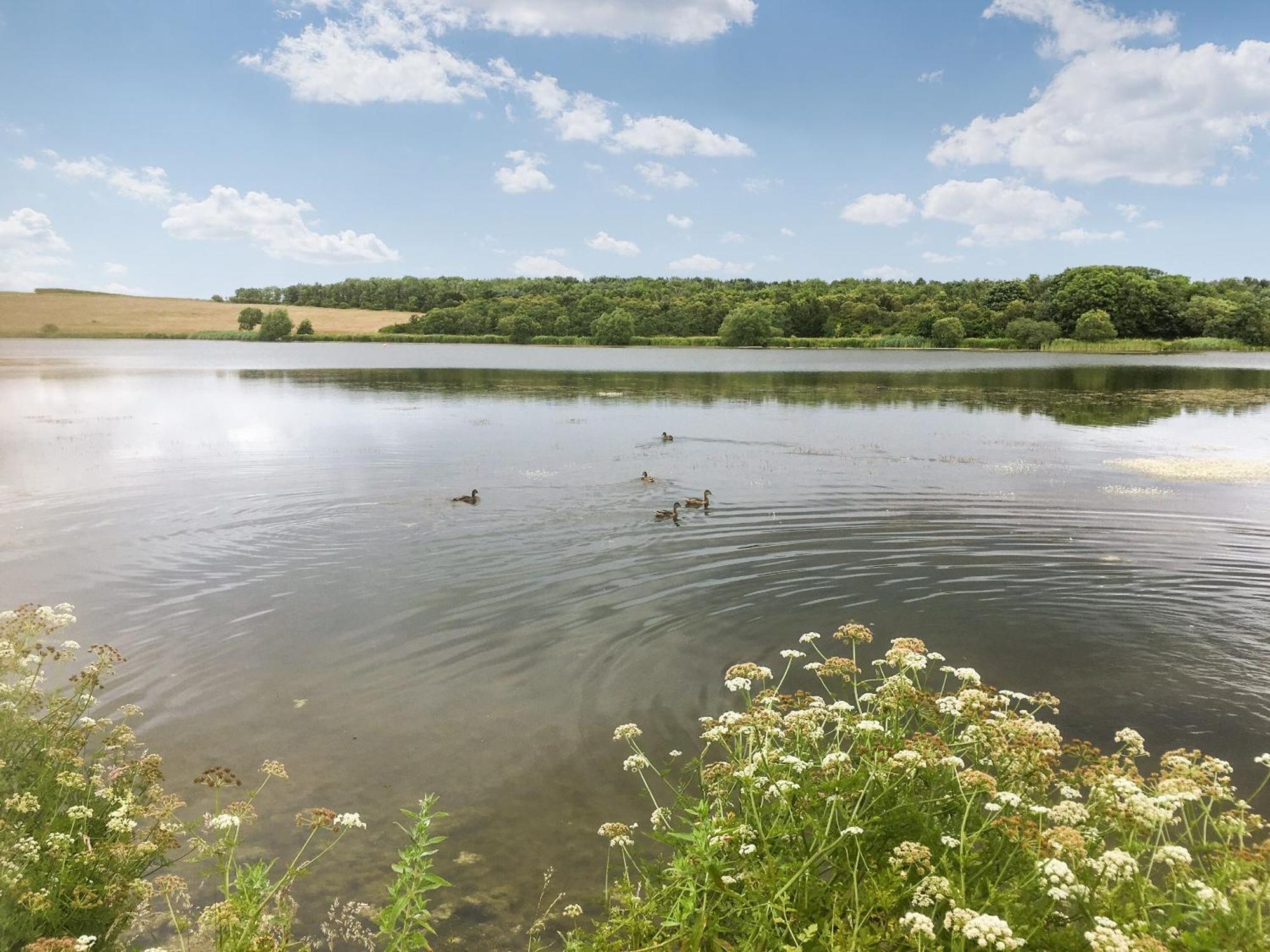 Herons Rest Hadston ภายนอก รูปภาพ